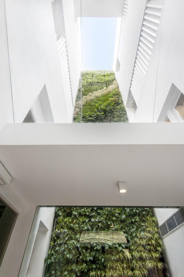 Mercer Sevilla - Le jardin vertical © Mercer Sevilla Mercer Sevilla - Le jardin vertical © Mercer Sevilla