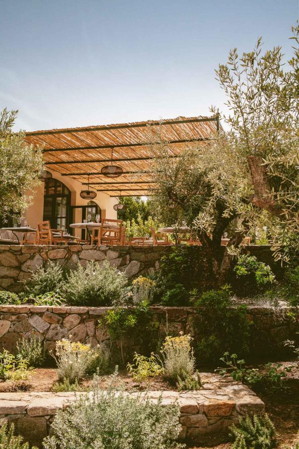 Hôtel Lou Pinet - Saint-Tropez - Jardin & Terrasses © Matthieu Salvaing