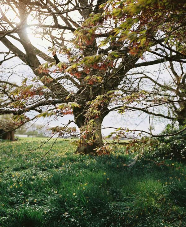13 Tourné vers le luxe discret, le domaine cherche résolument à mettre en place un lien fort avec la terre. 