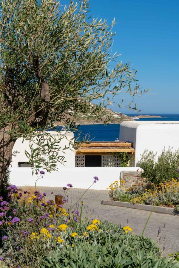 Kalesma Mykonos — entrée © Katerina Avgerinopoulou Kalesma Mykonos — entrée © Katerina Avgerinopoulou