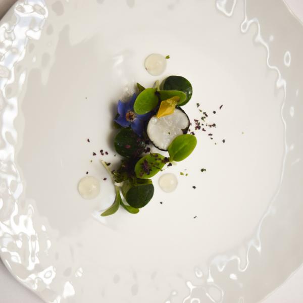 Gambas, algues, cocombre : Julien Montababut est très à l’aise dans le registre marin © Yonder.fr Gambas, algues, cocombre : Julien Montababut est très à l'aise dans le registre marin © Yonder.fr