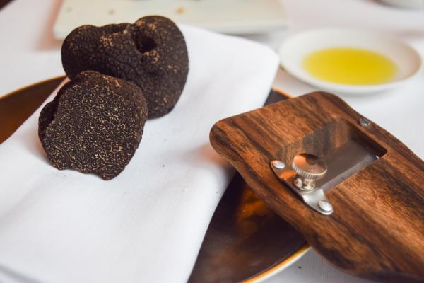 La truffe © Yonder.fr La truffe © Yonder.fr