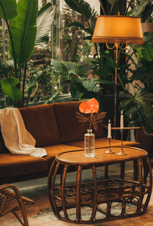 Terrass” Hôtel Terrass” Hôtel