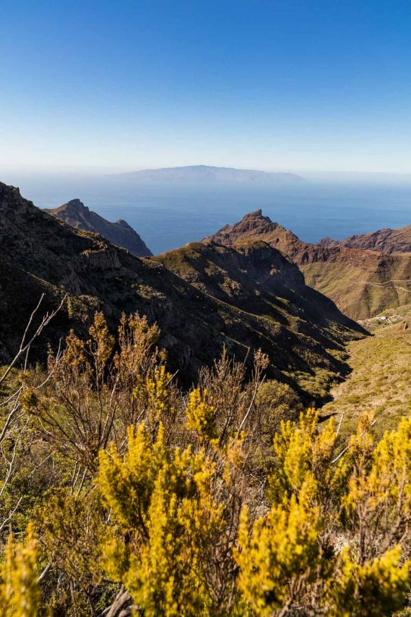 Vue du village de Masca © Turismo de Tenerife Vue du village de Masca © Turismo de Tenerife