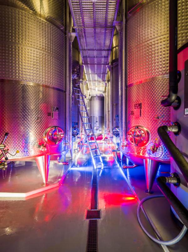 Visite des caves à la Maison Cattin © Maison Cattin Visite des caves à la Maison Cattin © Maison Cattin