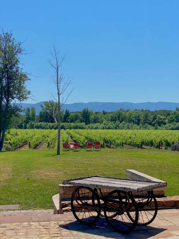 Château Saint Roux © Emmanuel Laveran Château Saint Roux © Emmanuel Laveran