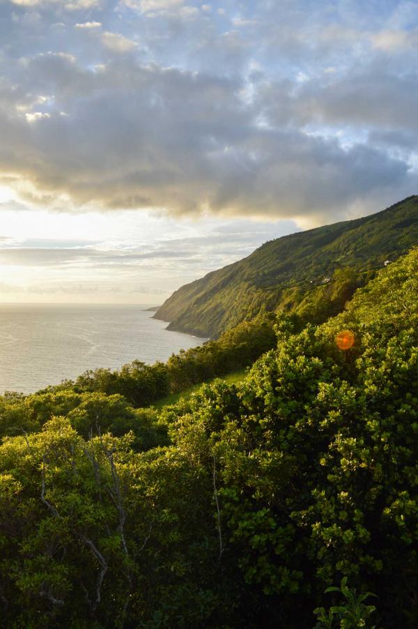 Lava Homes — vue depuis la terrasse © YONDER.fr/PG Lava Homes — vue depuis la terrasse © YONDER.fr/PG