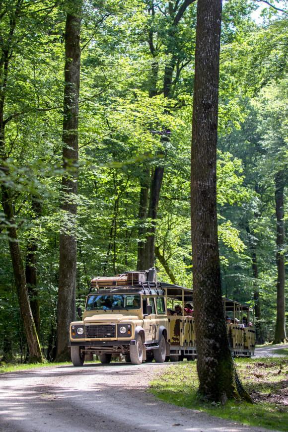 Safari en train au Parc de Sainte-Croix © Morgane Bricard Safari en train au Parc de Sainte-Croix © Morgane Bricard