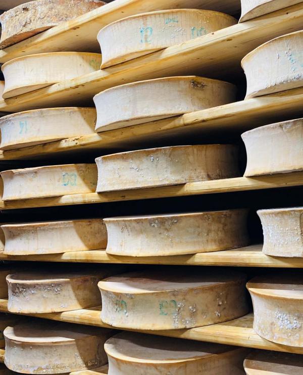 Le beaufort, le fromage roi de Savoie © P.Gautrand|YONDER.fr Le beaufort, le fromage roi de Savoie © P.Gautrand|YONDER.fr