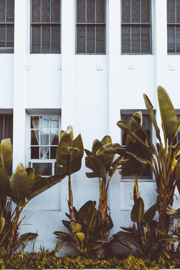 West Hollywood © Nathan Dumlao West Hollywood © Nathan Dumlao