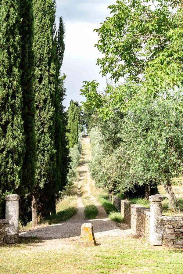 Pieve Aldina © Sadik Sans Voltaire Pieve Aldina © Sadik Sans Voltaire