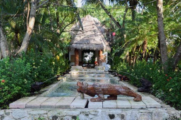 Le bassin d’accueil de l’hôtel, en pleinge jungle © Yonder.fr Le bassin d'accueil de l'hôtel, en pleinge jungle © Yonder.fr