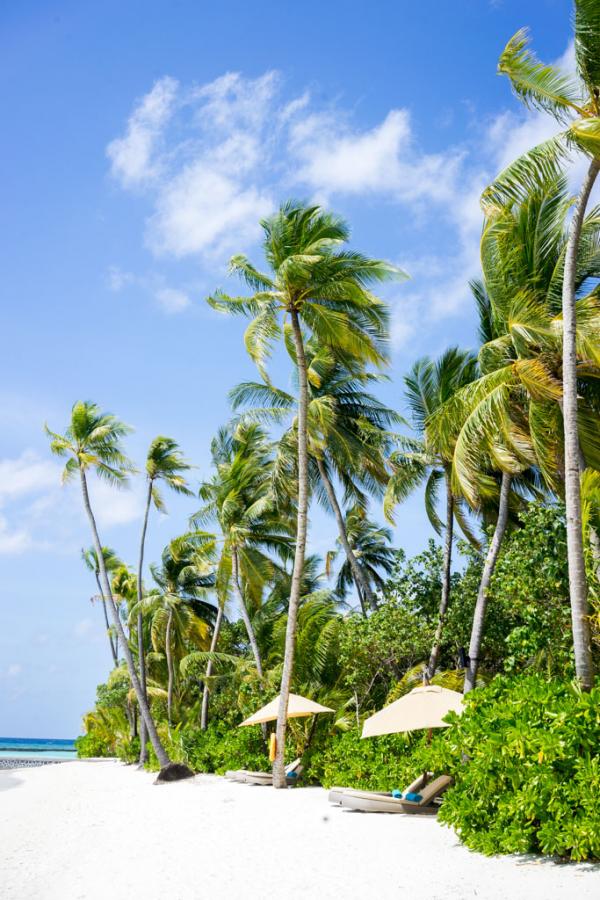 Décor de rêve sur la plage de l’île © Yonder.fr Décor de rêve sur la plage de l'île © Yonder.fr