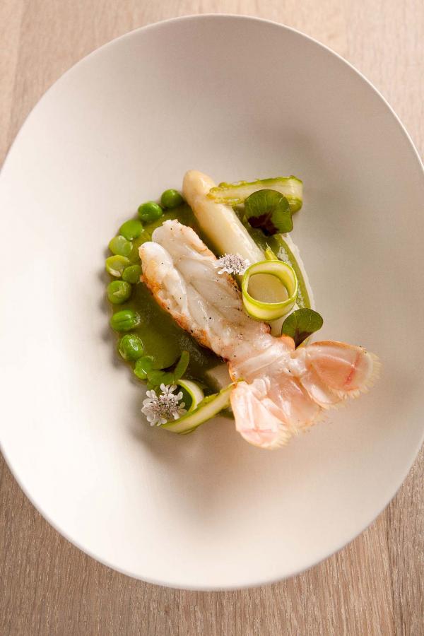 Sans Cravate © DR Sans Cravate © DR