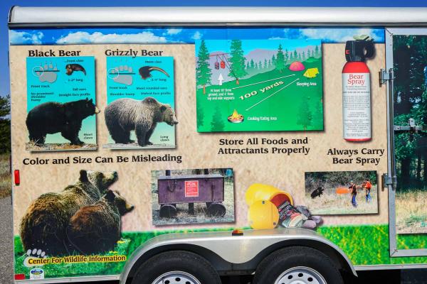 Que faire face à un ours ? La réponse en images © YONDER.fr