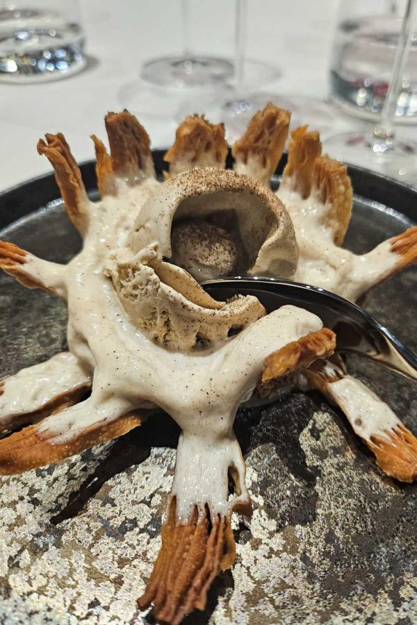 Arbane © Florence Valencourt Arbane © Florence Valencourt