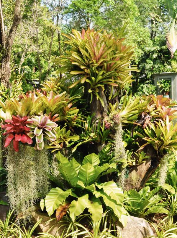 Les décors végétaux que l’on retrouve dans les allées de l’Anantara © Constance Lugger Les décors végétaux que l’on retrouve dans les allées de l'Anantara © Constance Lugger