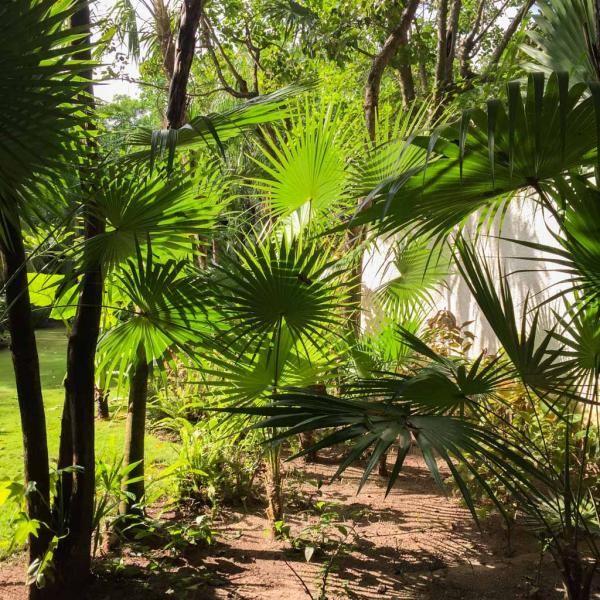 Nature luxuriante dans l’enceinte de l’hôtel © Yonder.fr Nature luxuriante dans l'enceinte de l'hôtel © Yonder.fr