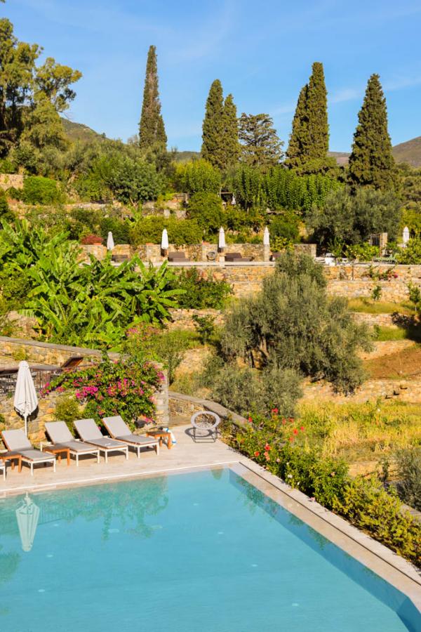 La piscine, au milieu des oliviers et autres arbres du domaine © MB | YONDER.fr La piscine, au milieu des oliviers et autres arbres du domaine © MB | YONDER.fr