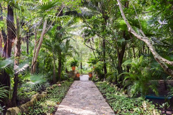 L’une des allées du resort, en pleine végétation © Yonder.fr L'une des allées du resort, en pleine végétation © Yonder.fr