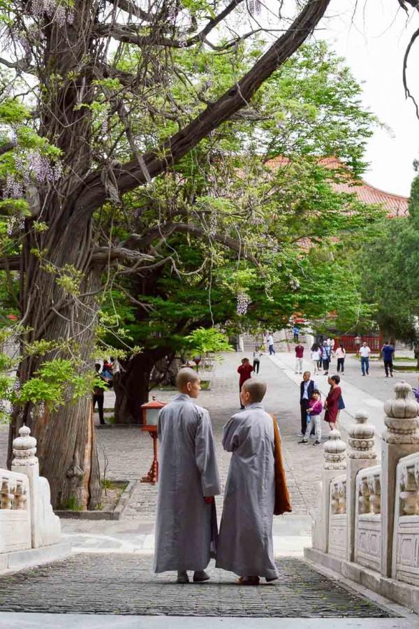Les moines habitent encore les temples, même en pleine ville. © Pierre Gunther / YONDER.fr Les moines habitent encore les temples, même en pleine ville. © Pierre Gunther / YONDER.fr