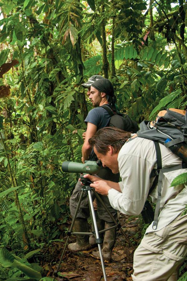 Mashpi Lodge — randonnée © DR