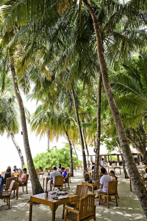 Le petit-déjeuner face à l’océan est un moment privilégié et hors du temps © DR Le petit-déjeuner face à l’océan est un moment privilégié et hors du temps © DR