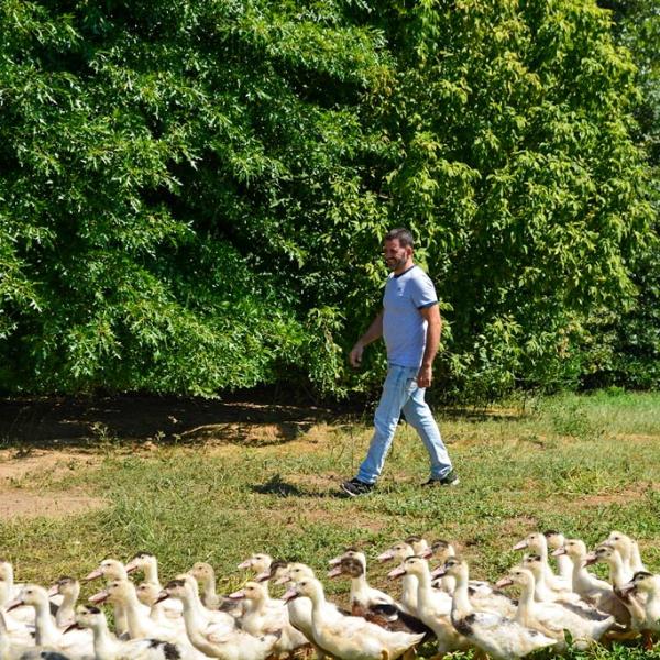 La Ferme du Foie Gras © Tourisme Landes