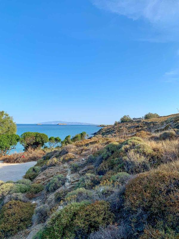 Summer Senses Paros — paysage autour de l’hôtel © PG|YONDER.fr Summer Senses Paros — paysage autour de l'hôtel © PG|YONDER.fr