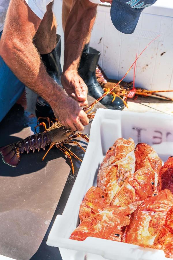 Que faire à Minorque ? © Menorca Turismo Que faire à Minorque ? © Menorca Turismo