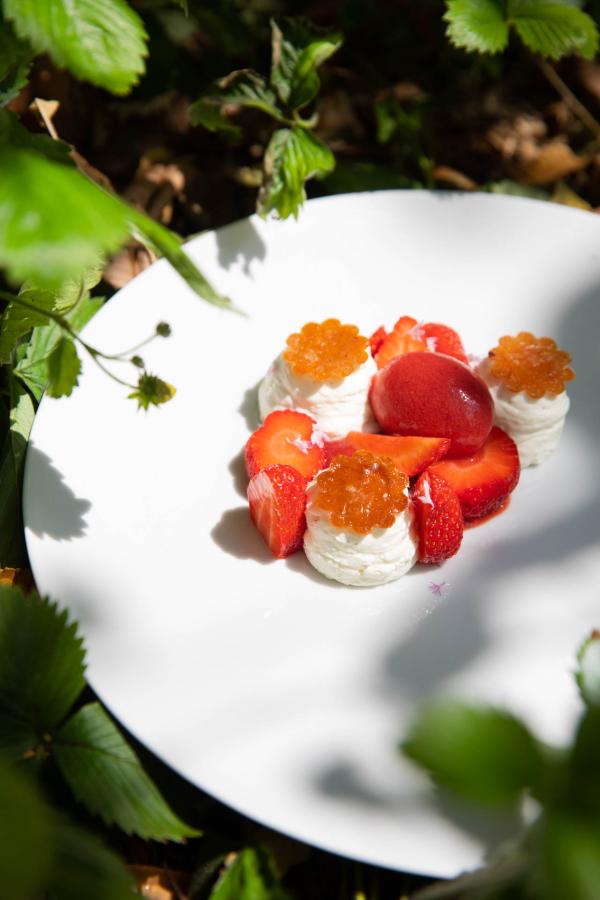 © Clémence Losfeld © Clémence Losfeld