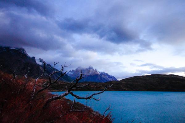Nature morte au Torres del Paine : le Parc porte les séquelles des incendies du passé | © Cédric Aubert Nature morte au Torres del Paine : le Parc porte les séquelles des incendies du passé | © Cédric Aubert
