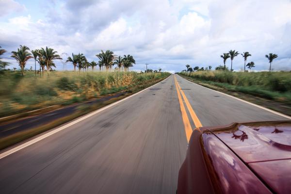 Les grands arbres de l’Amazonie s’espacent et rapetissent, laissant place à quelques cocotiers. Route de Bélem vers Sao Luis. | © Cédric Aubert Les grands arbres de l’Amazonie s’espacent et rapetissent, laissant place à quelques cocotiers. Route de Bélem vers Sao Luis. | © Cédric Aubert