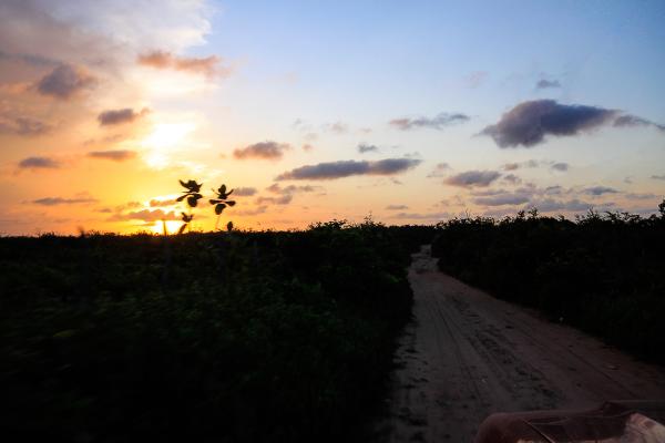 Sur la piste menant à Barra Grande en fin de journée, nous allons bientôt nous arrêter et installer notre bivouac. | © Cédric Aubert Sur la piste menant à Barra Grande en fin de journée, nous allons bientôt nous arrêter et installer notre bivouac. | © Cédric Aubert