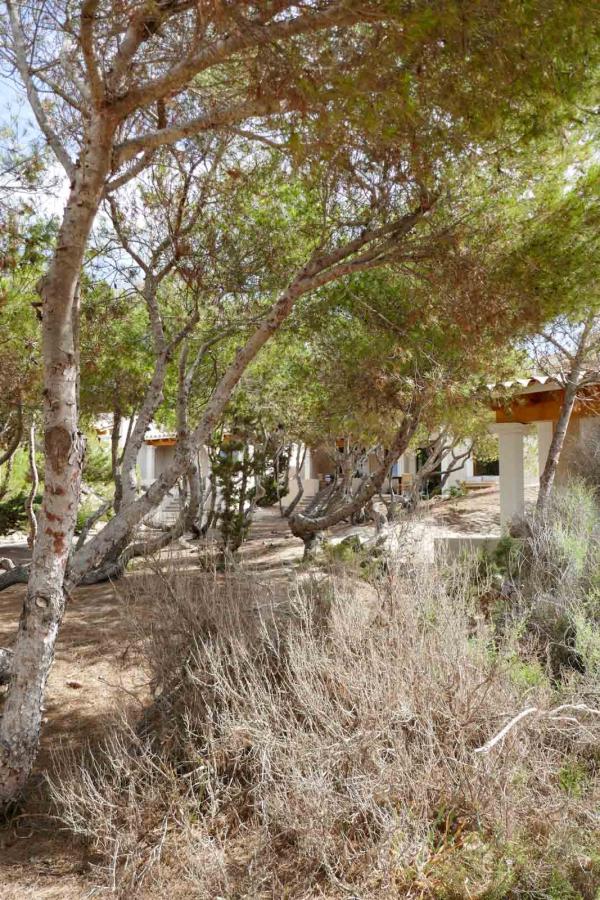 Dunas de Formentera © PG Dunas de Formentera © PG