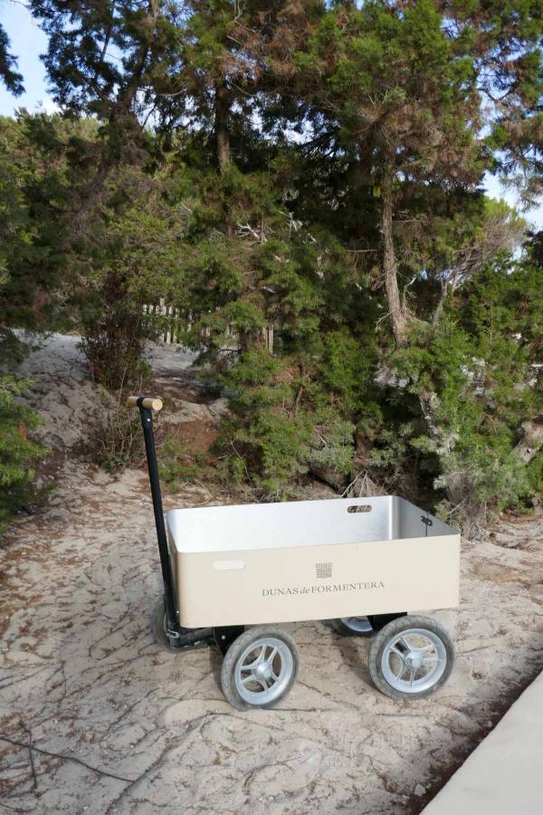 Dunas de Formentera © PG Dunas de Formentera © PG