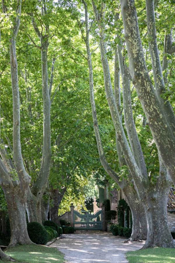 Domaine de Chalamon © Yann Deret
