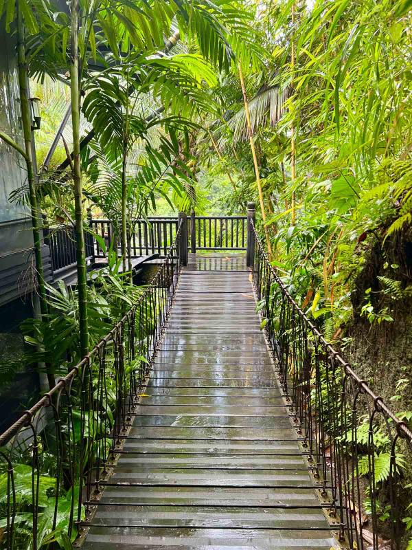 Capella Ubud - Tente des officiers © Pierre Gautrand Capella Ubud - Tente des officiers © Pierre Gautrand