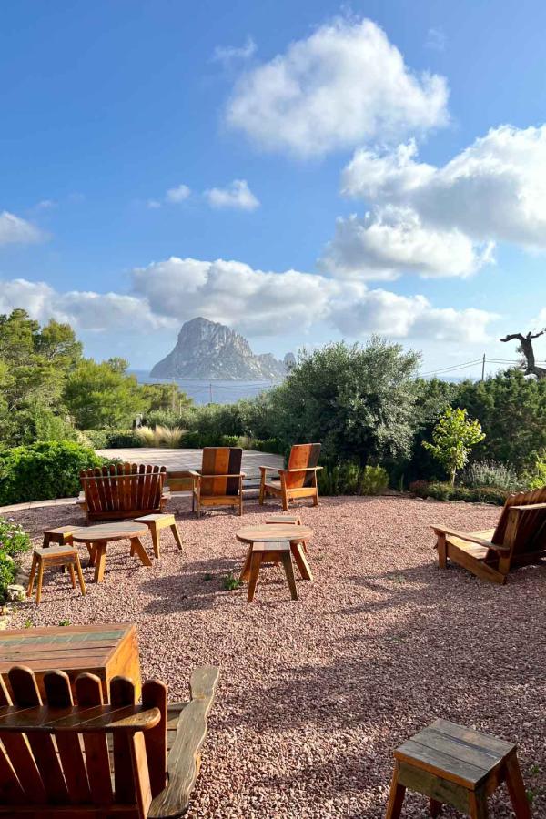 Petunia - Baumier © YONDER Petunia - Baumier © YONDER