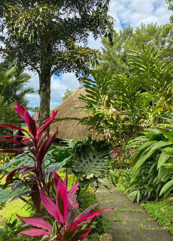 Jardin - Origins © Clarisse YE Jardin - Origins © Clarisse YE