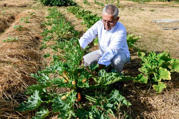 Le chef Jean-Michel Lorain dans son potager « plus que bio » de 3,000 m2 à Joigny © YONDER.fr Le chef Jean-Michel Lorain dans son potager « plus que bio » de 3,000 m2 à Joigny © YONDER.fr