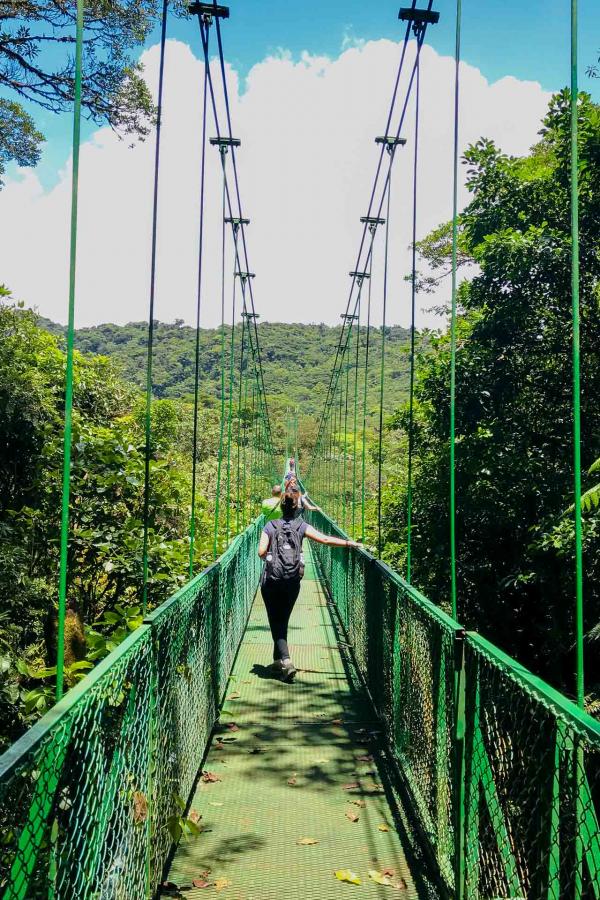 Puentes Colgantes de Monteverde - Les ponts flottants, en lévitation au niveau de la canopée © DR Puentes Colgantes de Monteverde - Les ponts flottants, en lévitation au niveau de la canopée © DR