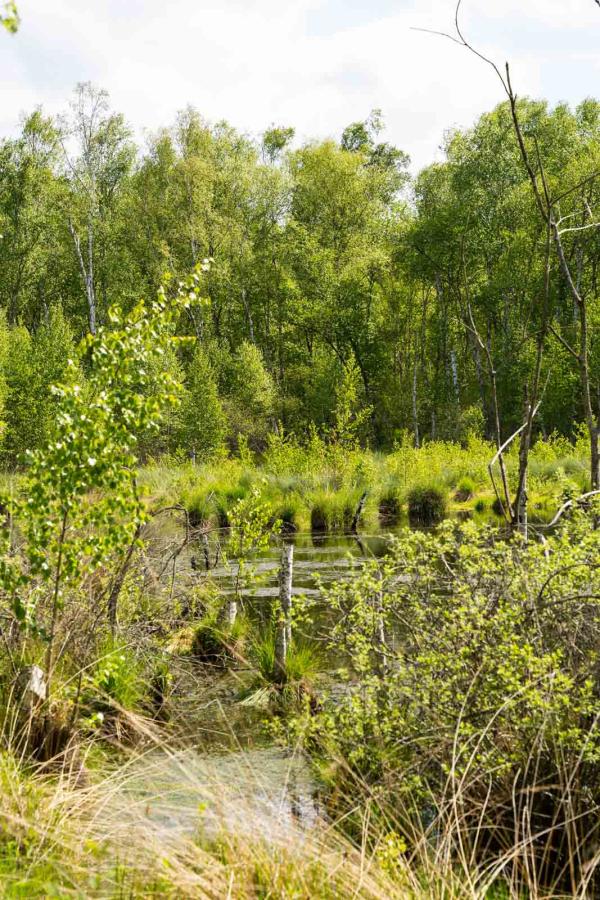 Réserve Naturelle Tourbière © BOTHBETTER