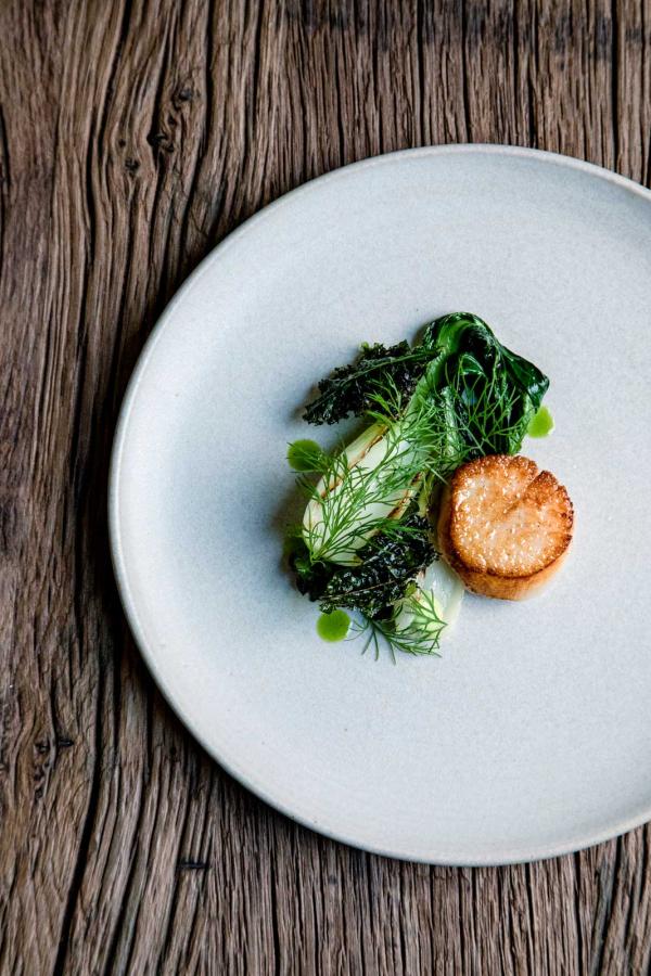 Saint-Jacques de Normandie, bok choy, kale, lait de verveine © Maxime Bouttier Géosmine Saint-Jacques de Normandie, bok choy, kale, lait de verveine © Maxime Bouttier Géosmine