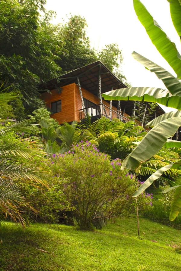 Origins Lodge — Villa Vertigo © Clarisse Ye Origins Lodge — Villa Vertigo © Clarisse Ye