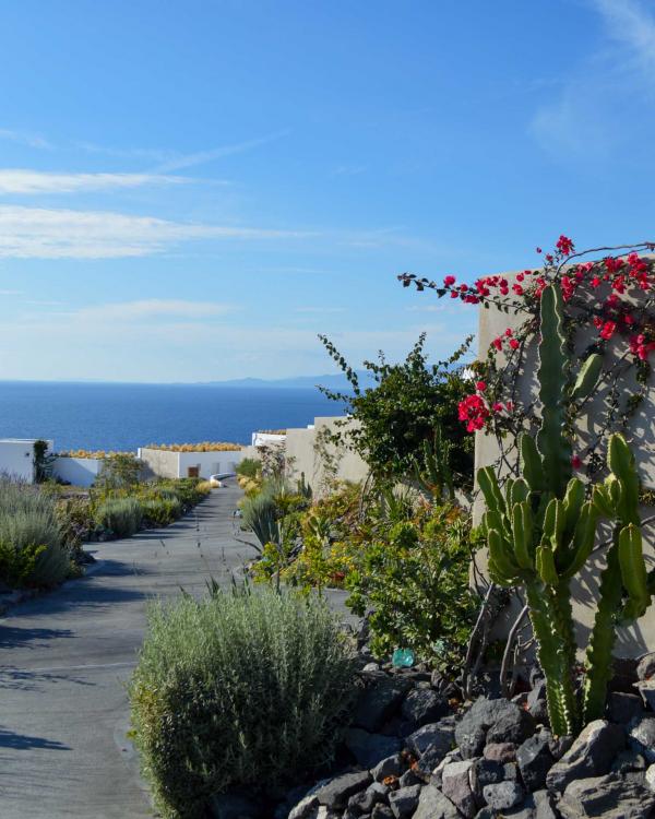 Andronis Arcadia | L’allée qui mène aux restaurants © YONDER.fr | PG Andronis Arcadia | L'allée qui mène aux restaurants © YONDER.fr | PG