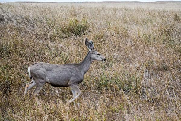 À la tombée de la nuit © YONDER.fr