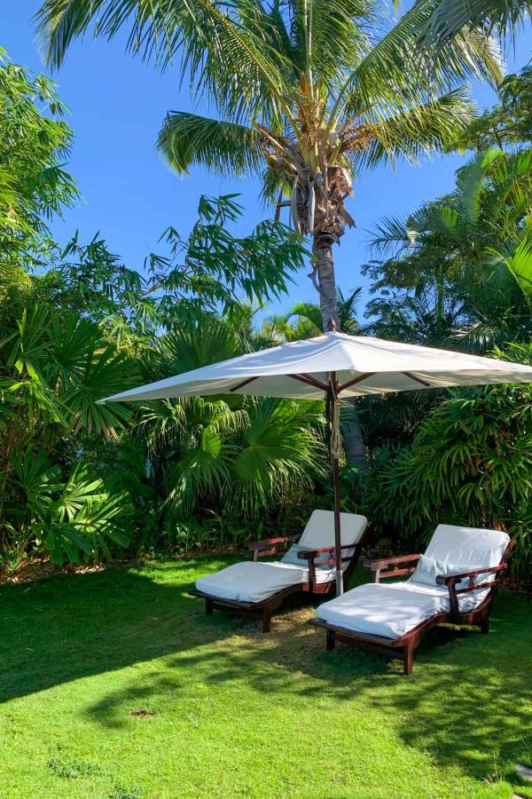 Blue Margouillat © Pierre Gunther Blue Margouillat © Pierre Gunther