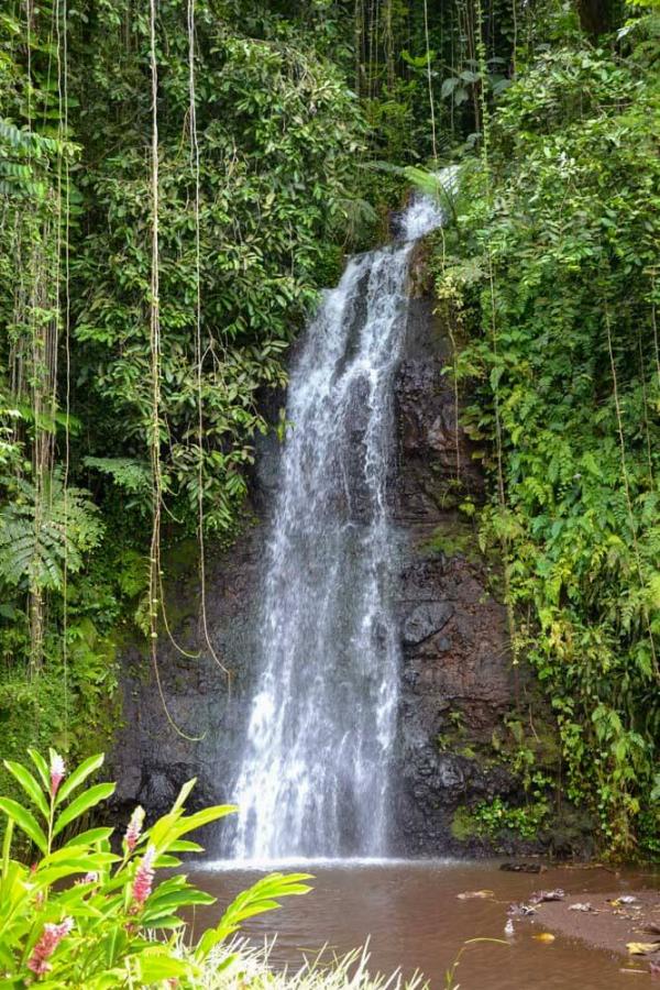 Cascade à Tahiti © Tahiti Tourisme Cascade à Tahiti © Tahiti Tourisme