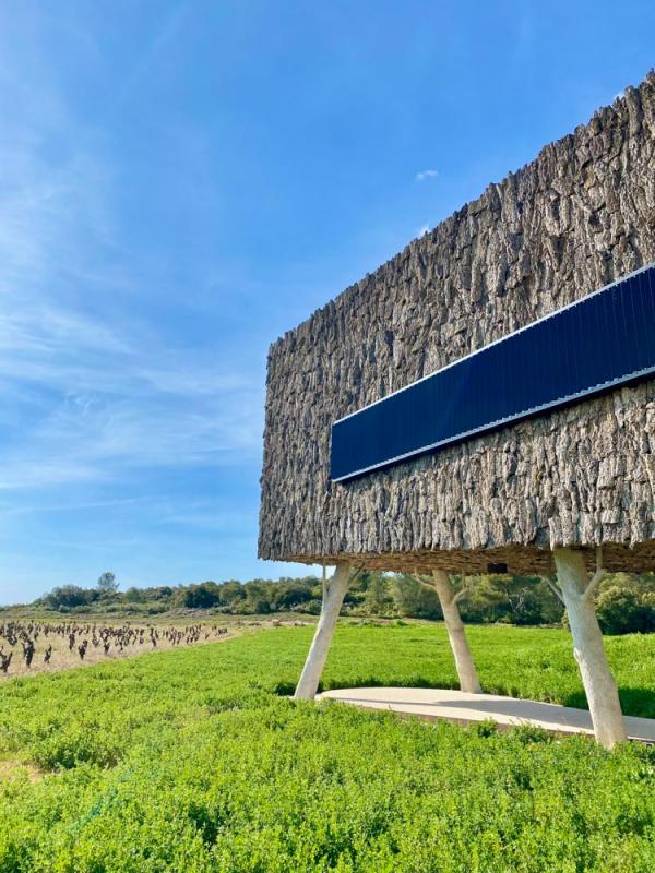 Castigno – Le chais © YONDER.fr | Emmanuel Laveran Castigno – Le chais © YONDER.fr | Emmanuel Laveran